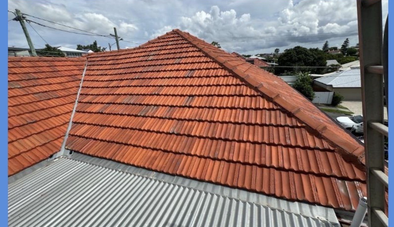 Tiled Roof — after cleaning